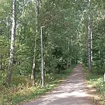 A Little Paradise In Helsinki! Home Away From Home