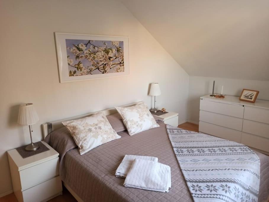 Huoneisto Cosy Loft