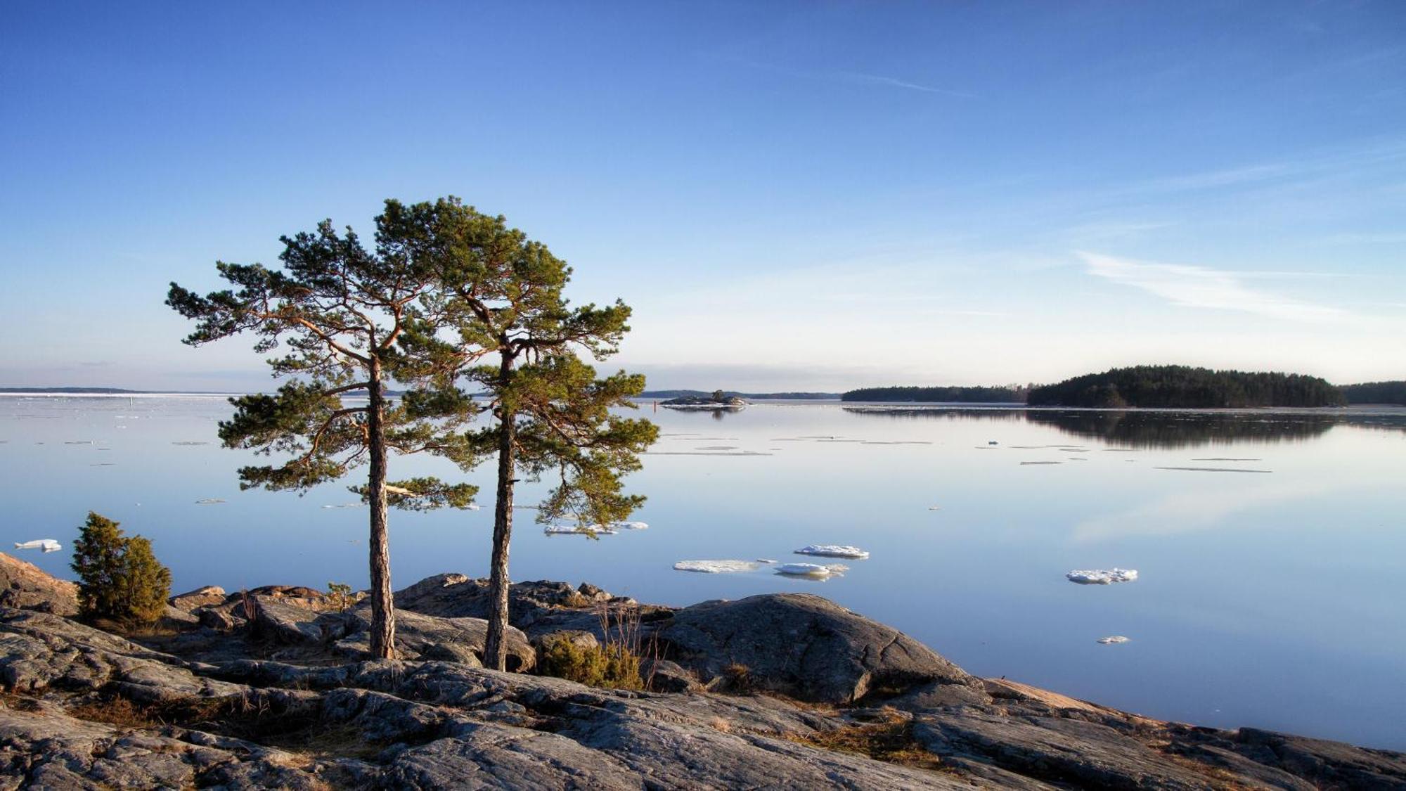 Hotelli Rantapuisto