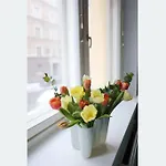 Corner Apartment