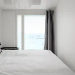New Luxus 3Br Helsinki Home