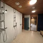 Sisu