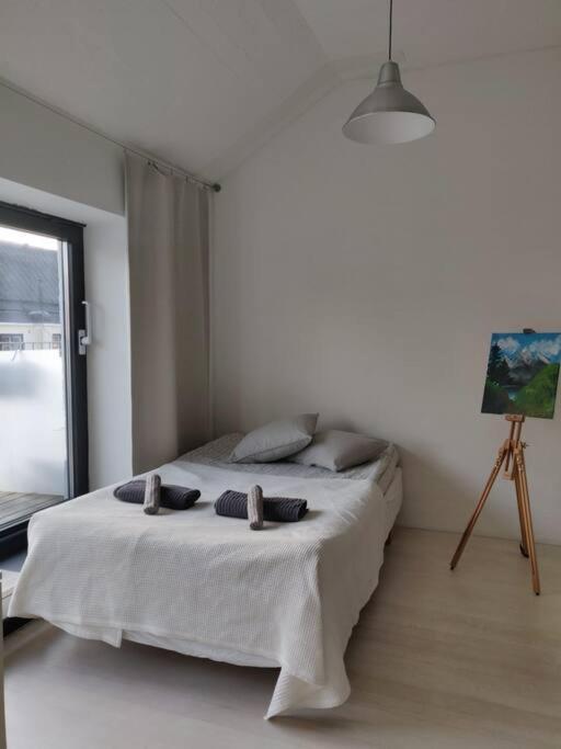 Apartment Huoneisto *