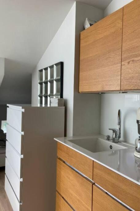 Huoneisto Elegant Penthouse Loft - City Center + Rooftop Terrace