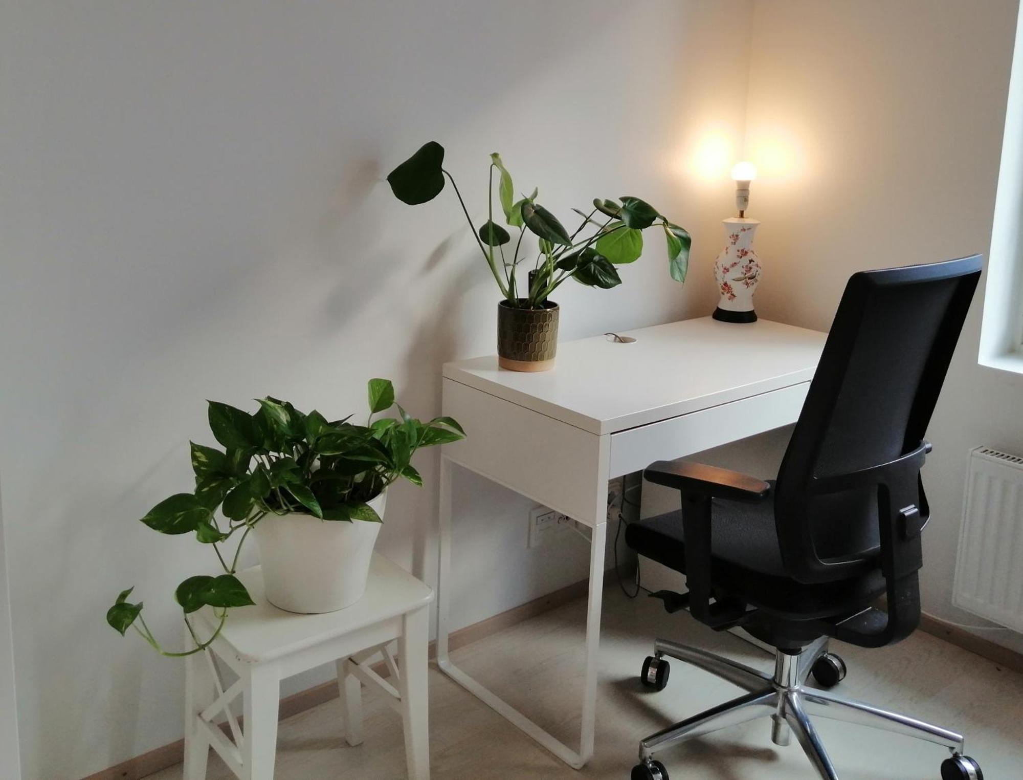 1br Cozy About 10 Min Walk To Center Huoneisto