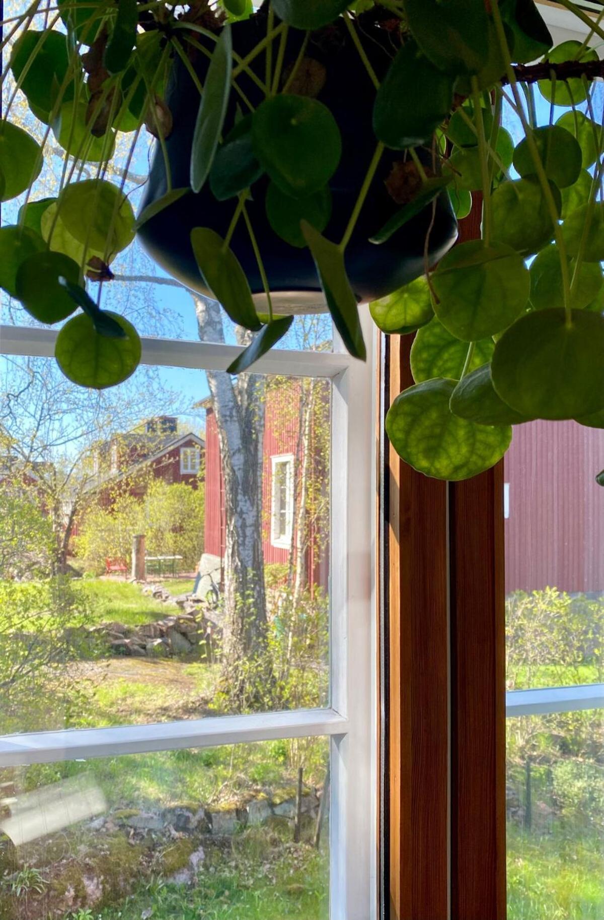 Wooden House In Kaepylae Huoneisto *