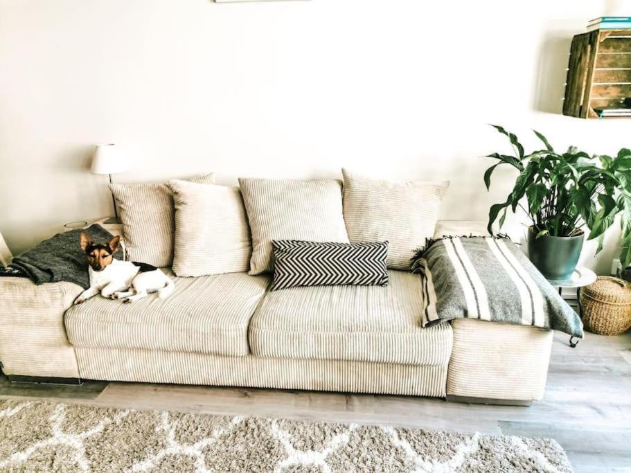 Huoneisto Comfy Boho-studio In Kallio. Helsinki