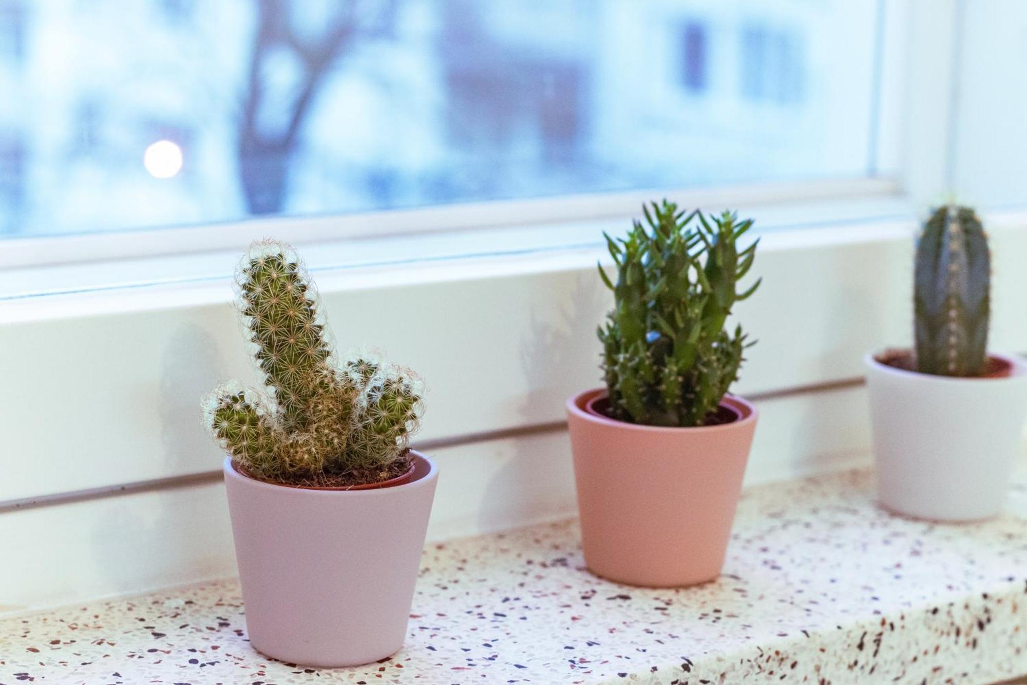 Comfy Spot Close To Tripla Mall And Dining * Helsinki